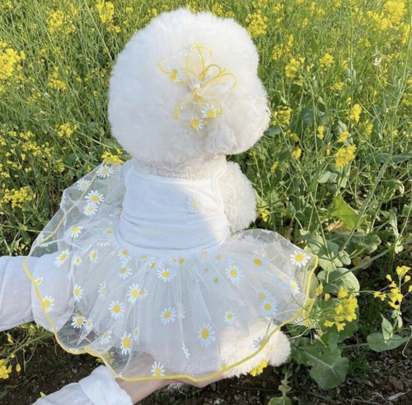 夏用 軽量 かわいい プリンセス チュールドレス、プードル、ビションフリーゼ、ヨークシャーティーペー、シュナウザー