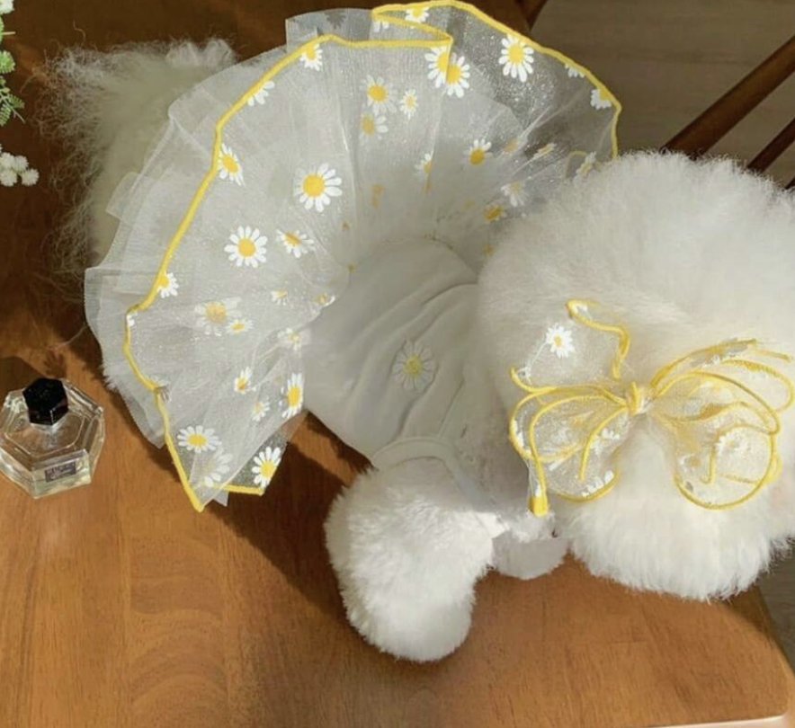 夏用 軽量 かわいい プリンセス チュールドレス、プードル、ビションフリーゼ、ヨークシャーティーペー、シュナウザー