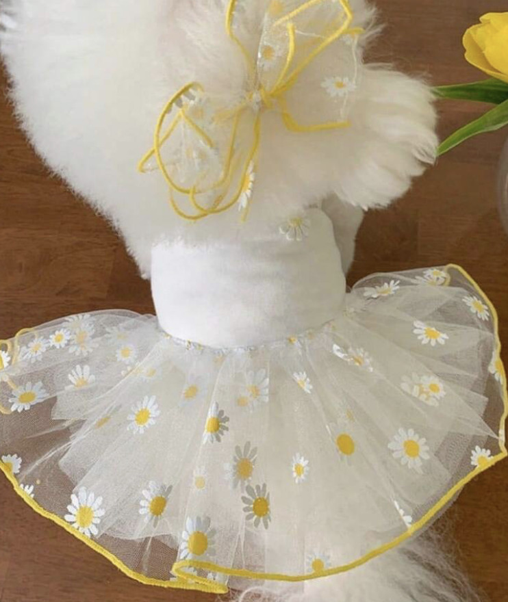 夏用 軽量 かわいい プリンセス チュールドレス、プードル、ビションフリーゼ、ヨークシャーティーペー、シュナウザー