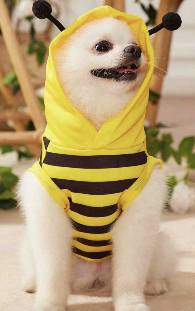 PETSIN レッド＆ブラックのコスプレレディバグ柄ペット用ベスト服、犬と猫用
