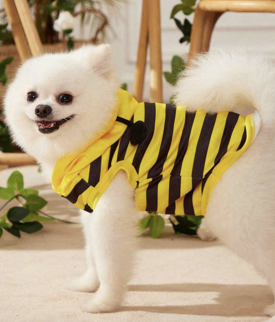 PETSIN レッド＆ブラックのコスプレレディバグ柄ペット用ベスト服、犬と猫用