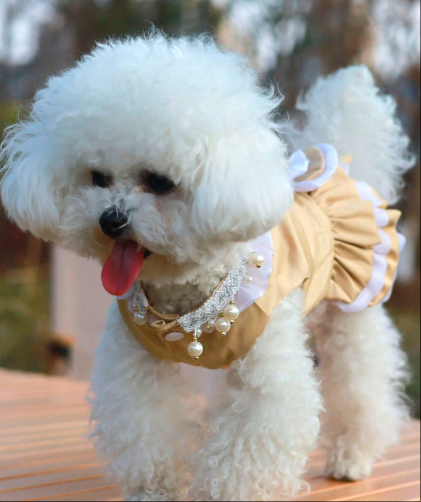 夏用軽量服、小型/中型犬向けのスリムタンクドレス