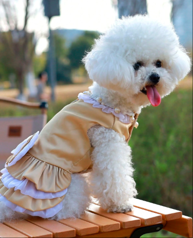 夏用軽量服、小型/中型犬向けのスリムタンクドレス
