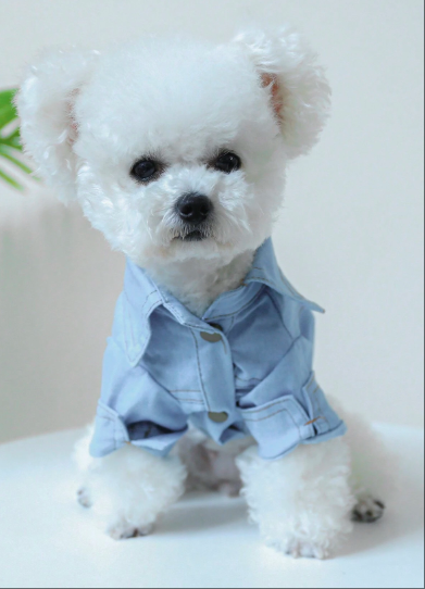 かわいいデニム柄シャツデザイン