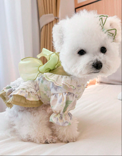 かわいらしくスタイリッシュな子犬/子猫の服、小型犬用アパレル、快適なグリーン フェアリーテイルドレス