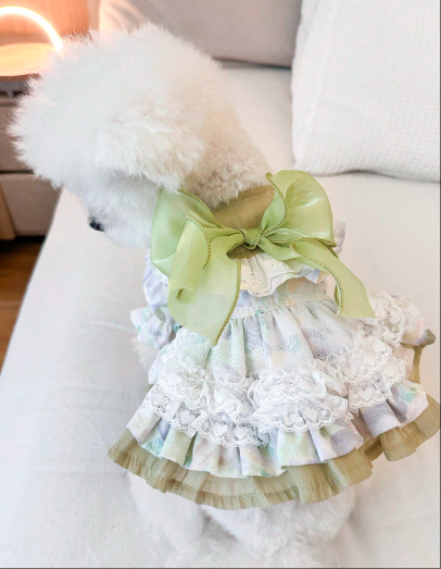 かわいらしくスタイリッシュな子犬/子猫の服、小型犬用アパレル、快適なグリーン フェアリーテイルドレス