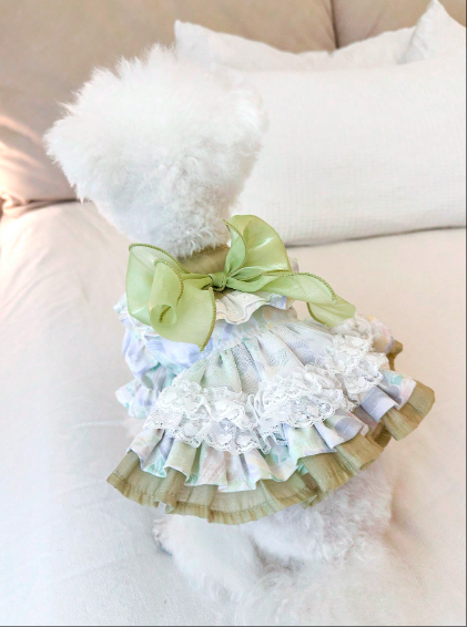 かわいらしくスタイリッシュな子犬/子猫の服、小型犬用アパレル、快適なグリーン フェアリーテイルドレス