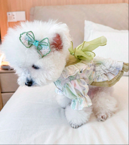 かわいらしくスタイリッシュな子犬/子猫の服、小型犬用アパレル、快適なグリーン フェアリーテイルドレス