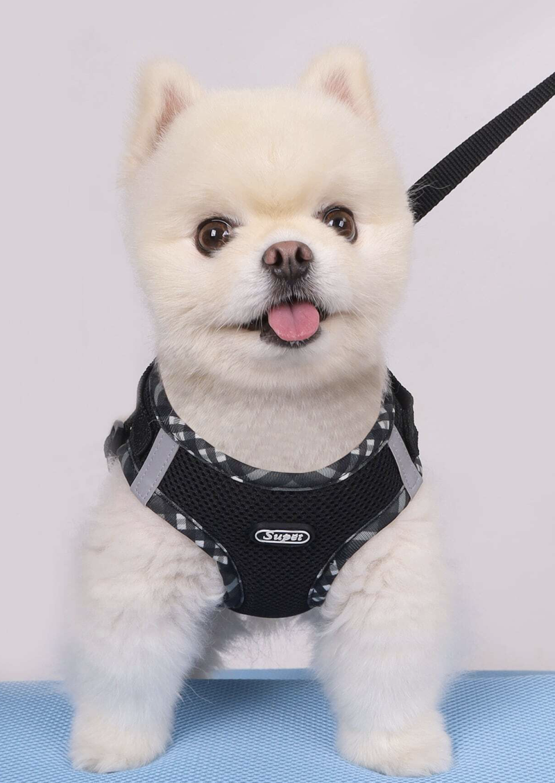 反射するチェック柄のエッジがついた胸と背中のハーネスセット、小型犬用、リード