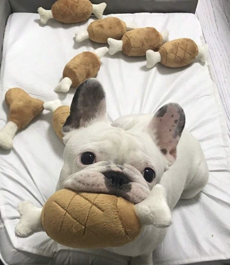 小型犬用咬み耐性チキンレッグ形のぬいぐるみおもちゃ、音がする犬のおもちゃ、楽しい猫のおもちゃ、自己エンターテイメントペットおもちゃ