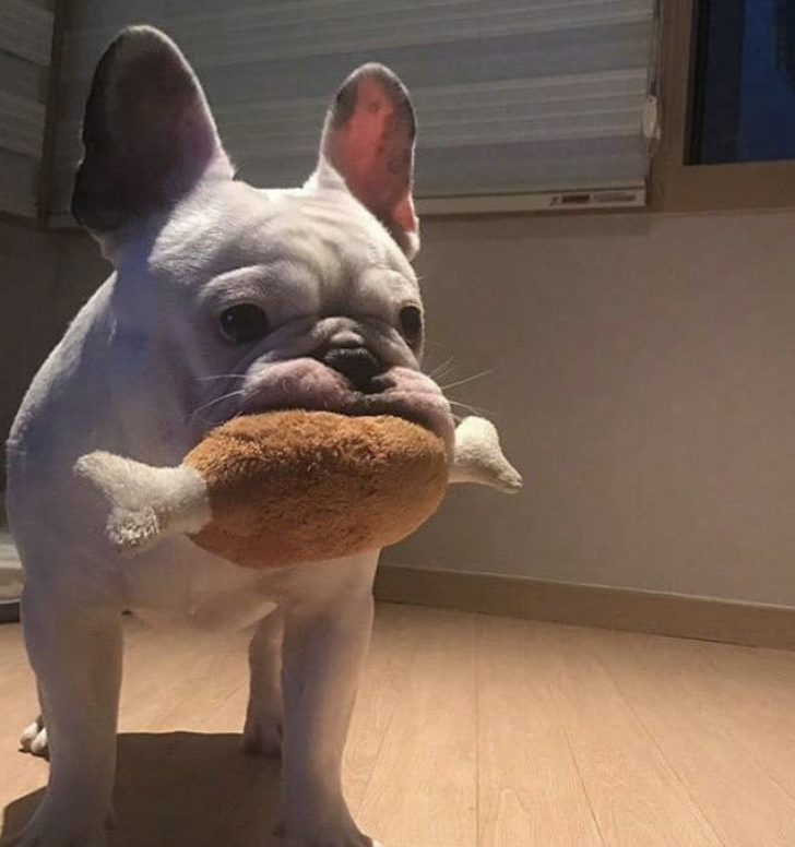 小型犬用咬み耐性チキンレッグ形のぬいぐるみおもちゃ、音がする犬のおもちゃ、楽しい猫のおもちゃ、自己エンターテイメントペットおもちゃ