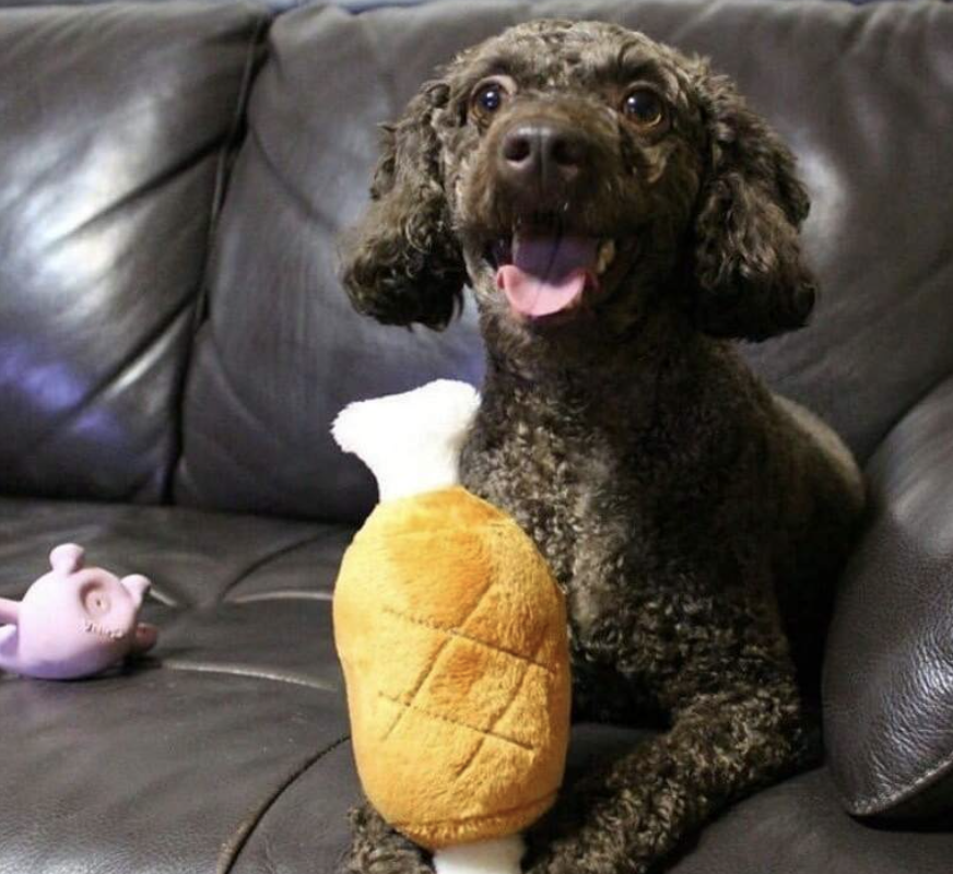 小型犬用咬み耐性チキンレッグ形のぬいぐるみおもちゃ、音がする犬のおもちゃ、楽しい猫のおもちゃ、自己エンターテイメントペットおもちゃ