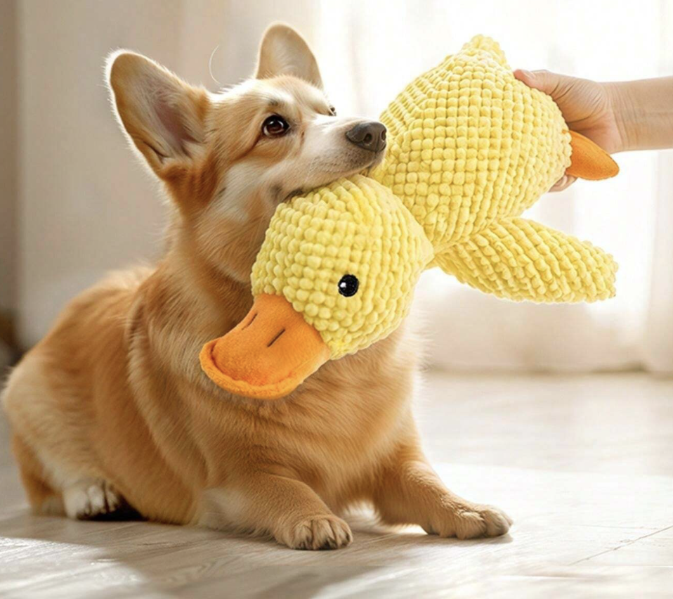 噛むおもちゃ鳴き声のする