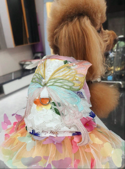 クールでかわいい プリンセスバタフライドッグドレス、メッシュ生地で通気性が良く快適、小型〜中型犬に適してる