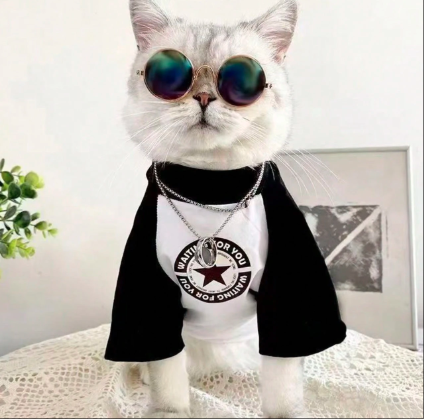 猫&犬用ファッションTシャツ ベース層