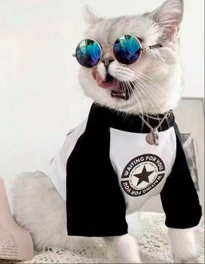 猫&犬用ファッションTシャツ ベース層