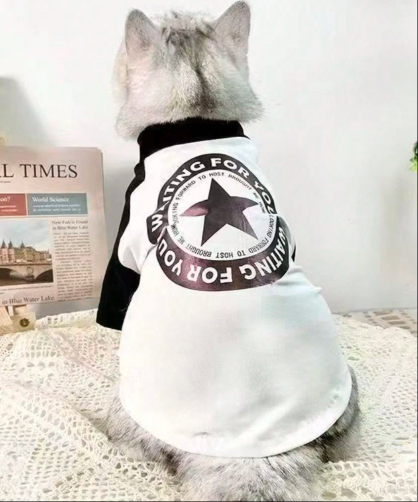 猫&犬用ファッションTシャツ ベース層