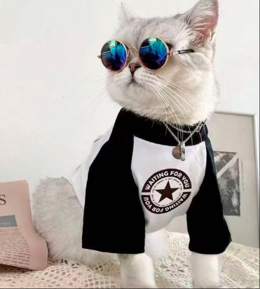 猫&犬用ファッションTシャツ ベース層