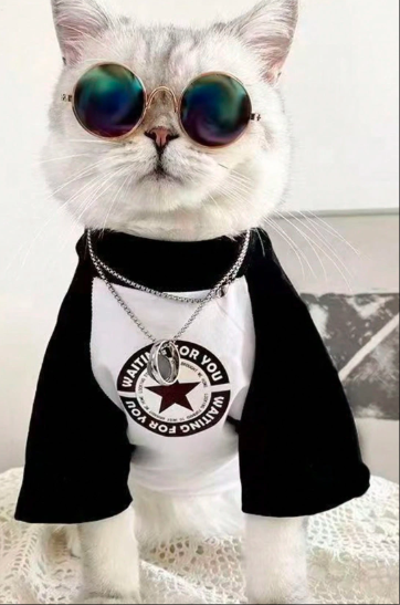 猫&犬用ファッションTシャツ ベース層
