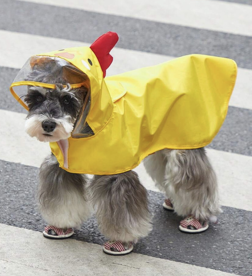 ファブリック 漫画風チキンデザイン フード付き 用 犬 と ネコ 用 雨の日 ペット用レインコート