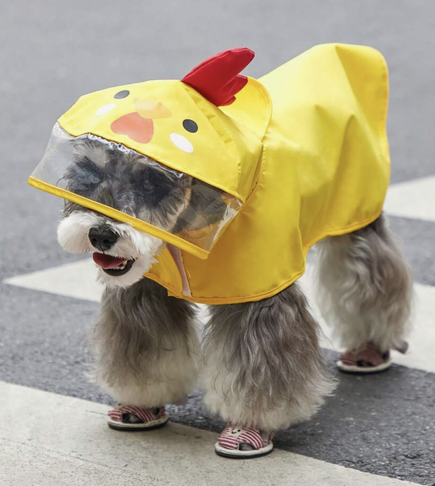 ファブリック 漫画風チキンデザイン フード付き 用 犬 と ネコ 用 雨の日 ペット用レインコート