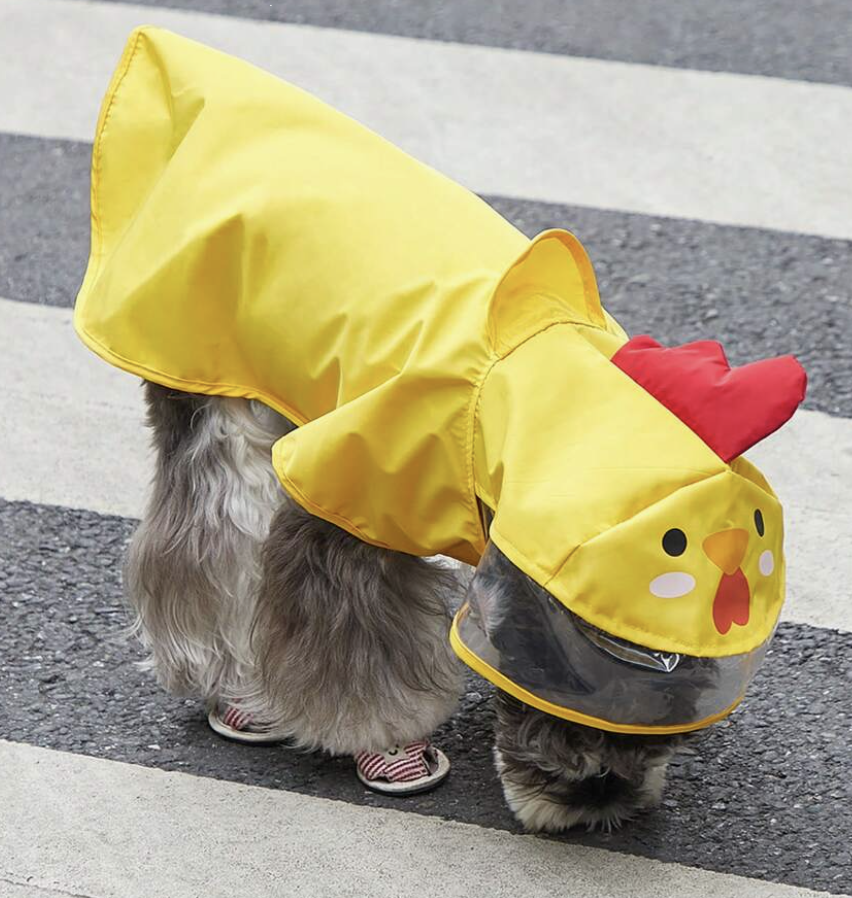 ファブリック 漫画風チキンデザイン フード付き 用 犬 と ネコ 用 雨の日 ペット用レインコート