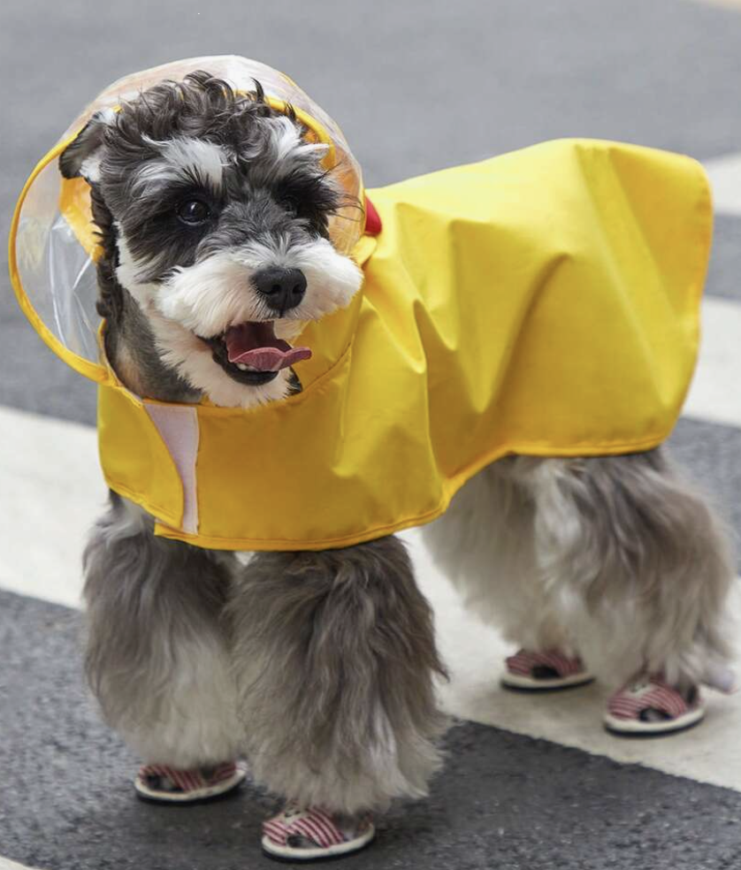 ファブリック 漫画風チキンデザイン フード付き 用 犬 と ネコ 用 雨の日 ペット用レインコート