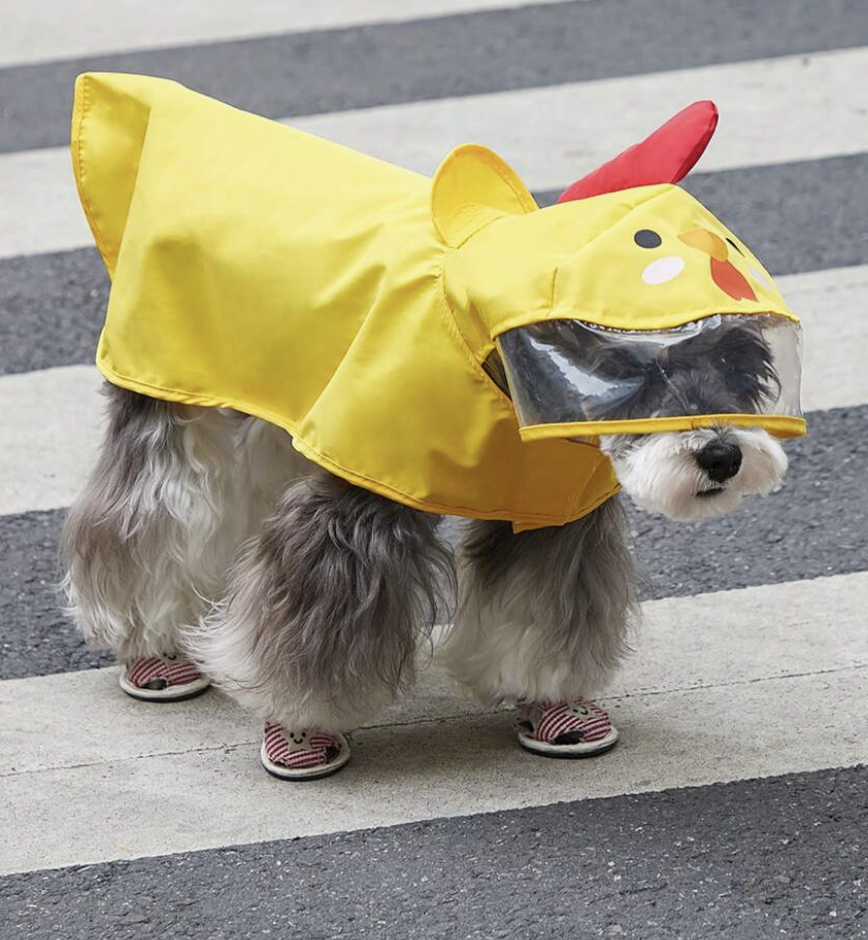 ファブリック 漫画風チキンデザイン フード付き 用 犬 と ネコ 用 雨の日 ペット用レインコート