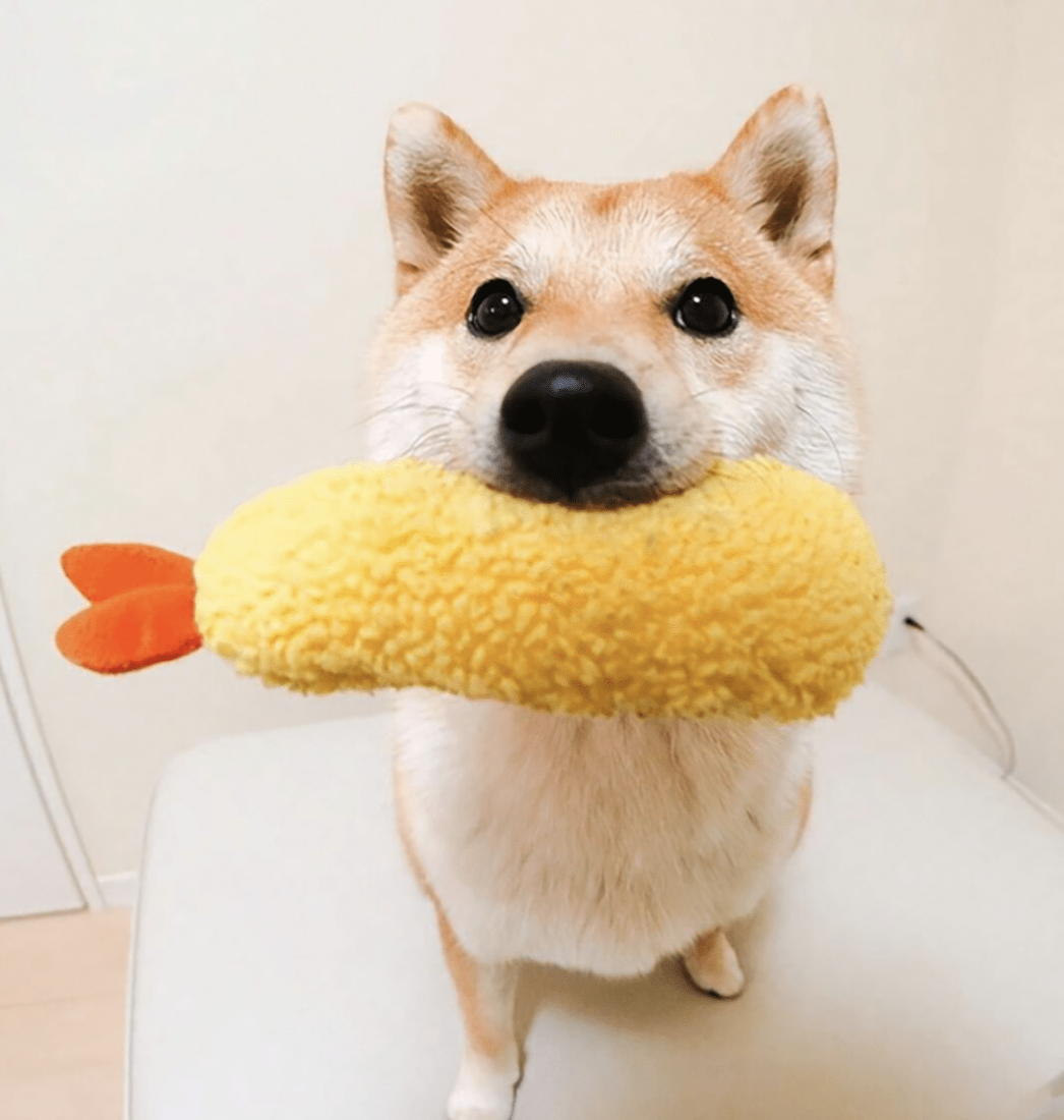 ペット猫&小型犬用ぬいぐるみ えび天ぷら人形、漫画風、愛玩動物用の素晴らしいぬいぐるみギフト
