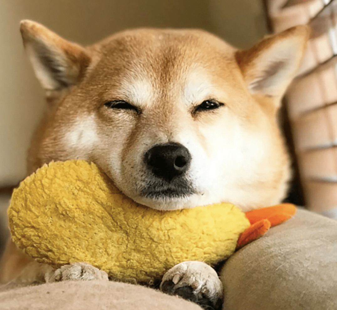 ペット猫&小型犬用ぬいぐるみ えび天ぷら人形、漫画風、愛玩動物用の素晴らしいぬいぐるみギフト