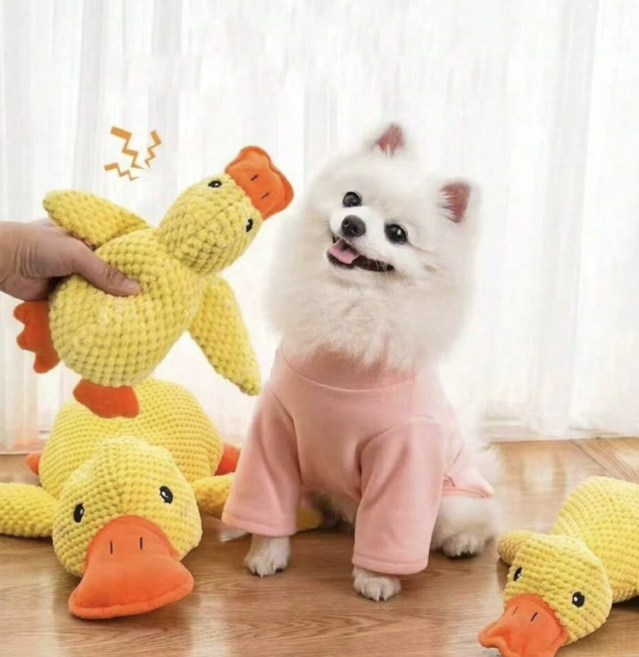 ペットのおもちゃ、黄色いアヒルのぬいぐるみペットのおもちゃ、噛み耐性