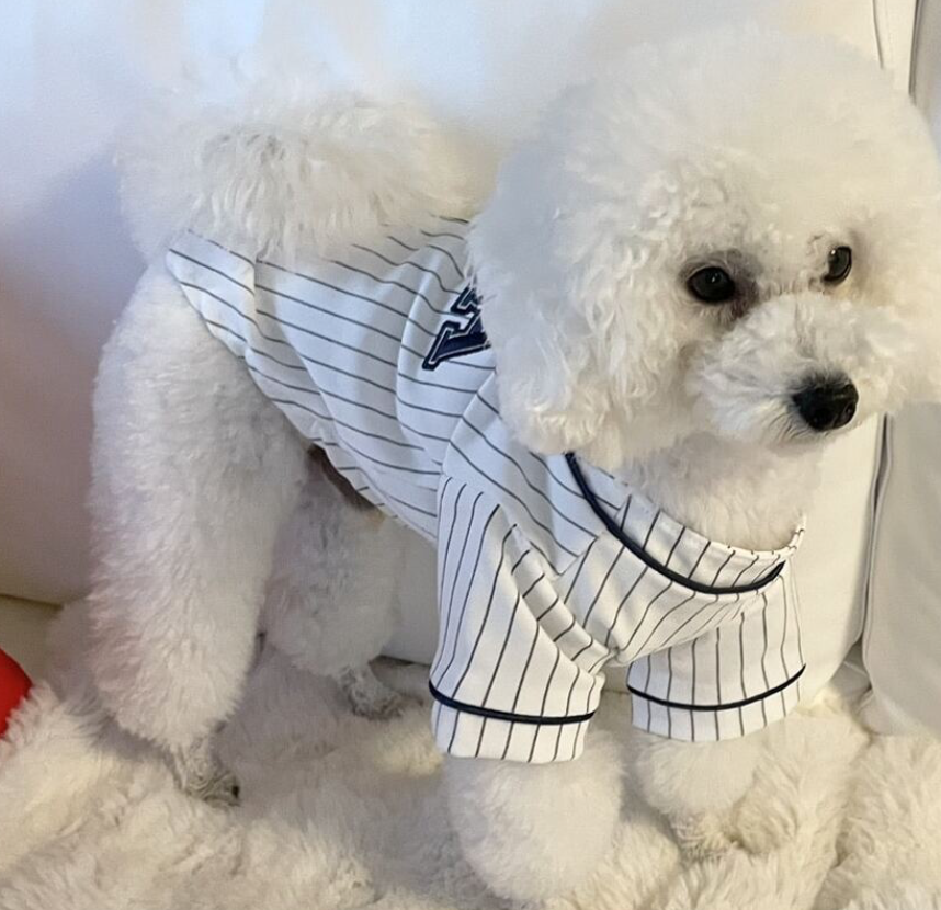 ペットシャツ
